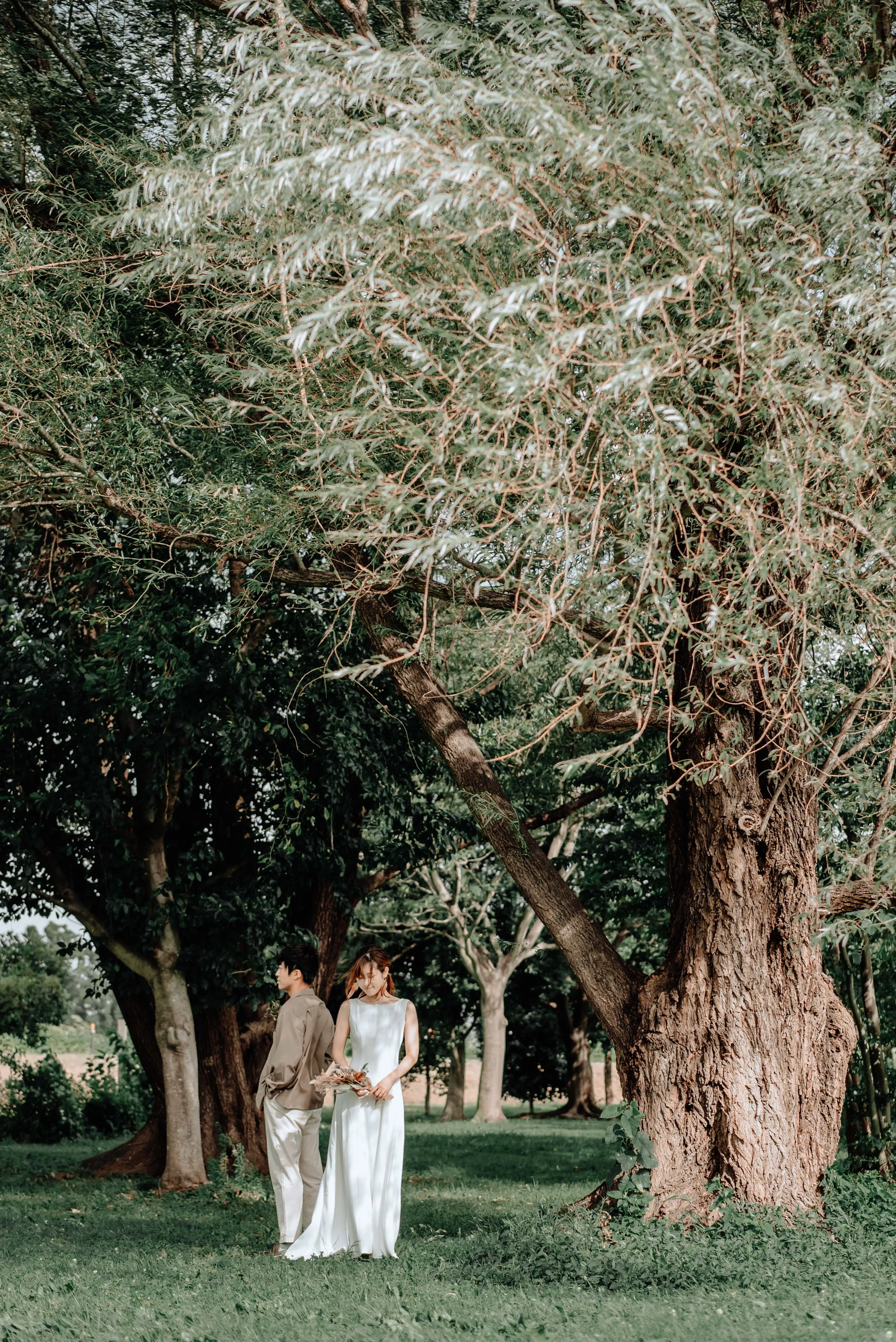 おしゃれな結婚式オープニングムービー撮影術