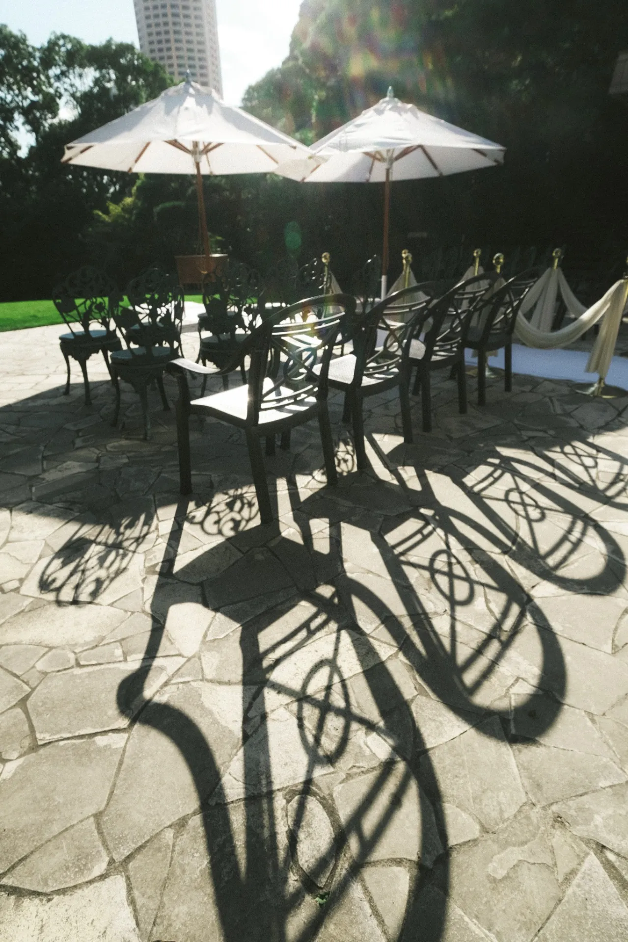 パーティーの魅力を引き出すオープニングムービーの撮影法