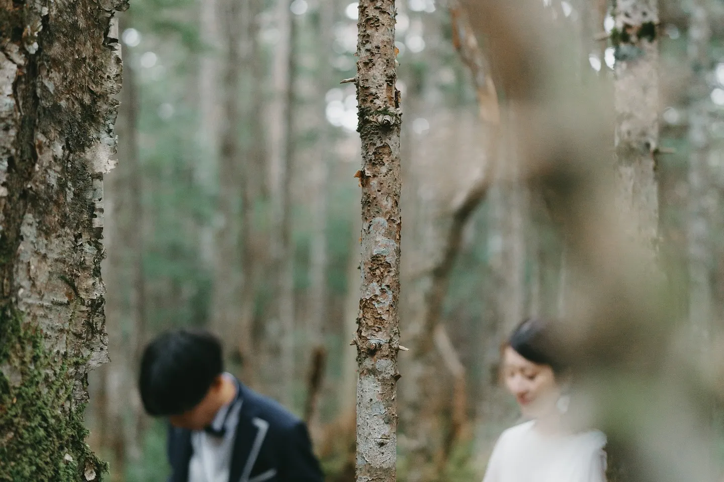 森で撮影したロケーションフォトの一コマ📷山あいのコテージと湖...