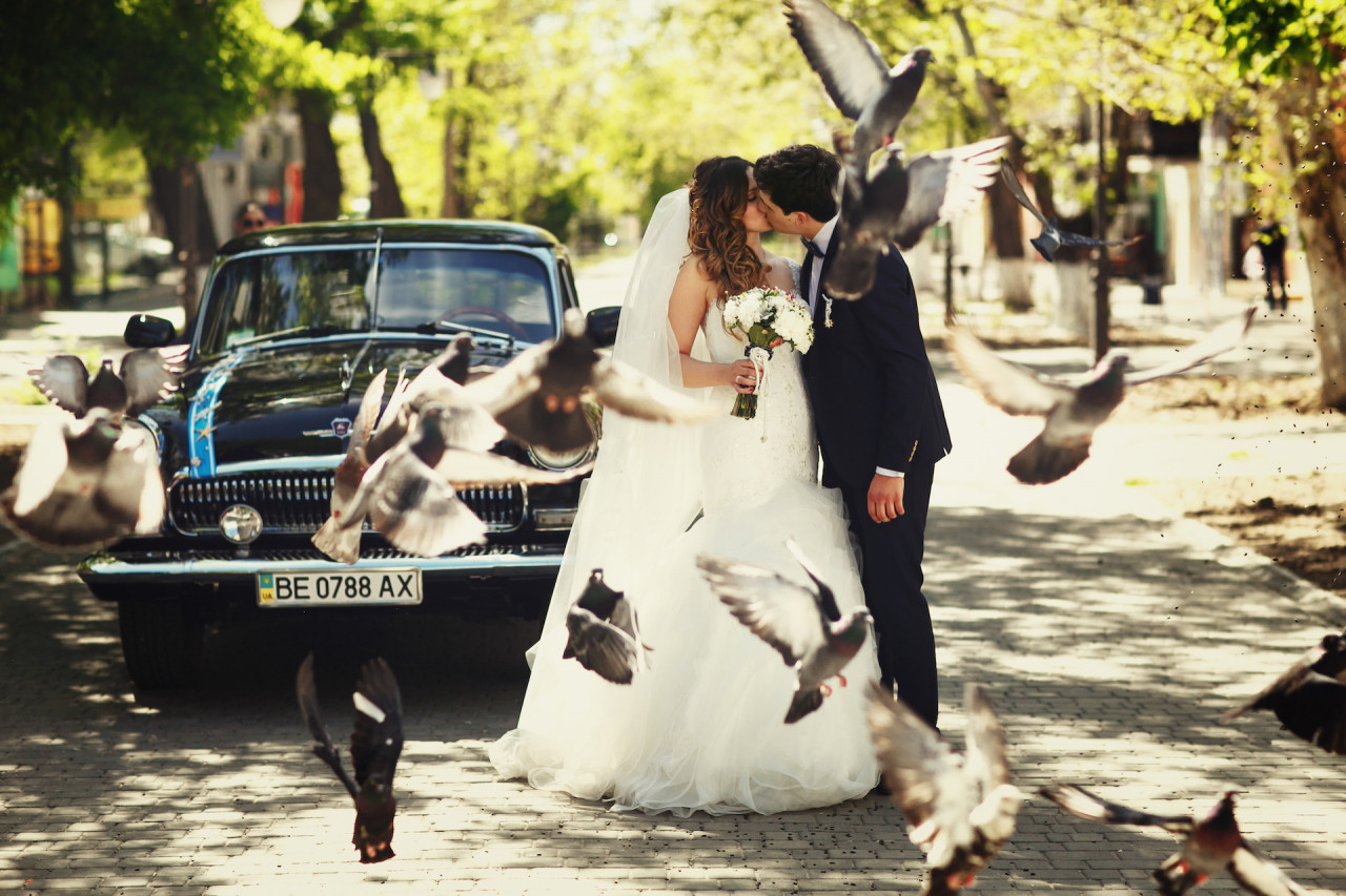 感動のエンドロールムービー体験