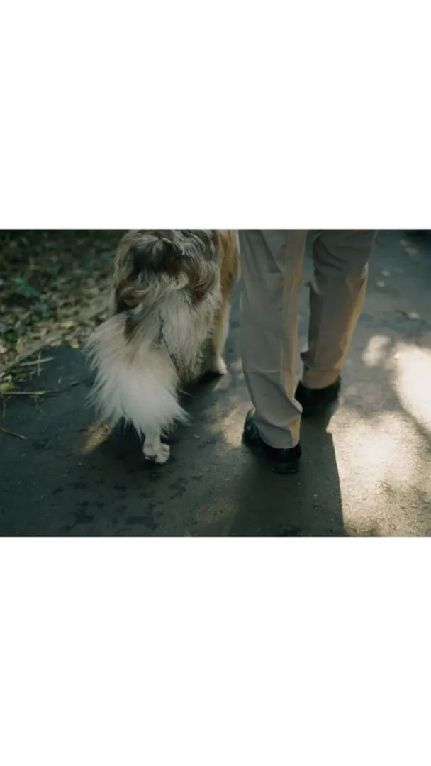 エンドロールムービーの魅力と技術