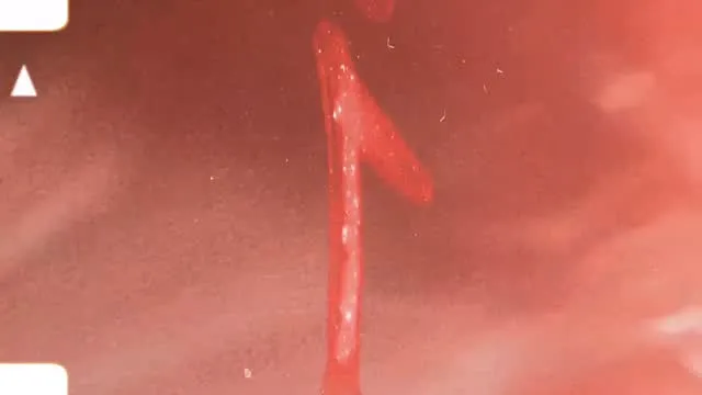 海辺でのロケーションムービー🎞️撮影はフォトとムービーで4時...